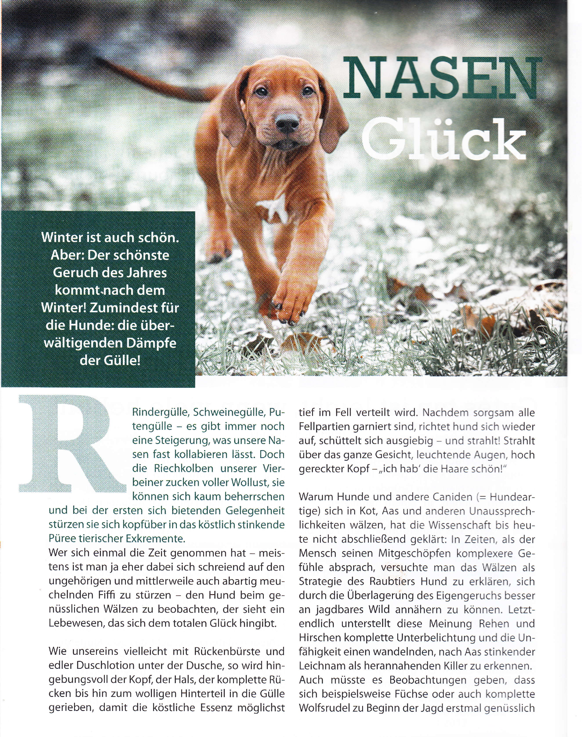 magz no. 01.2017