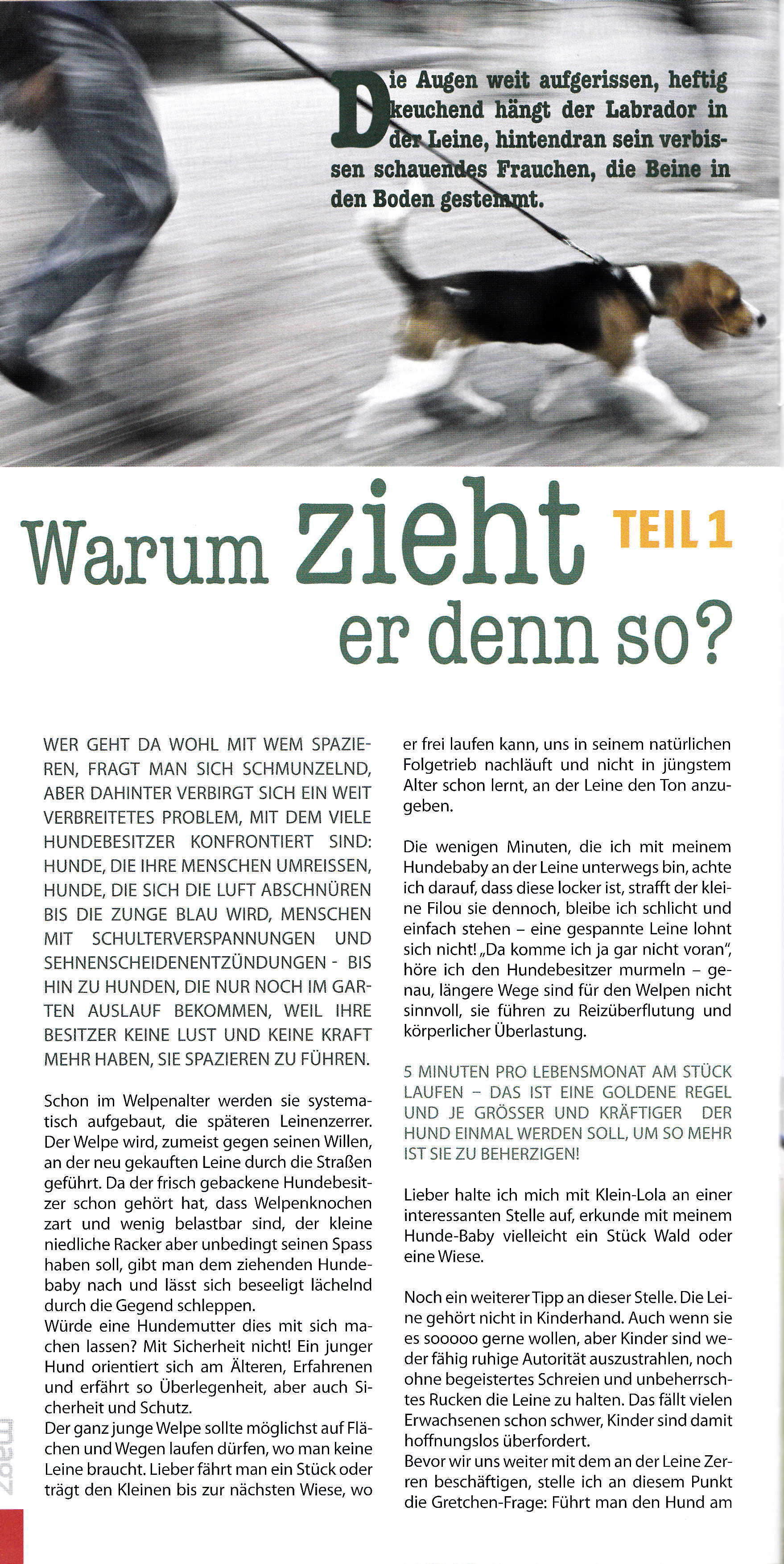 magz no. 02.2012