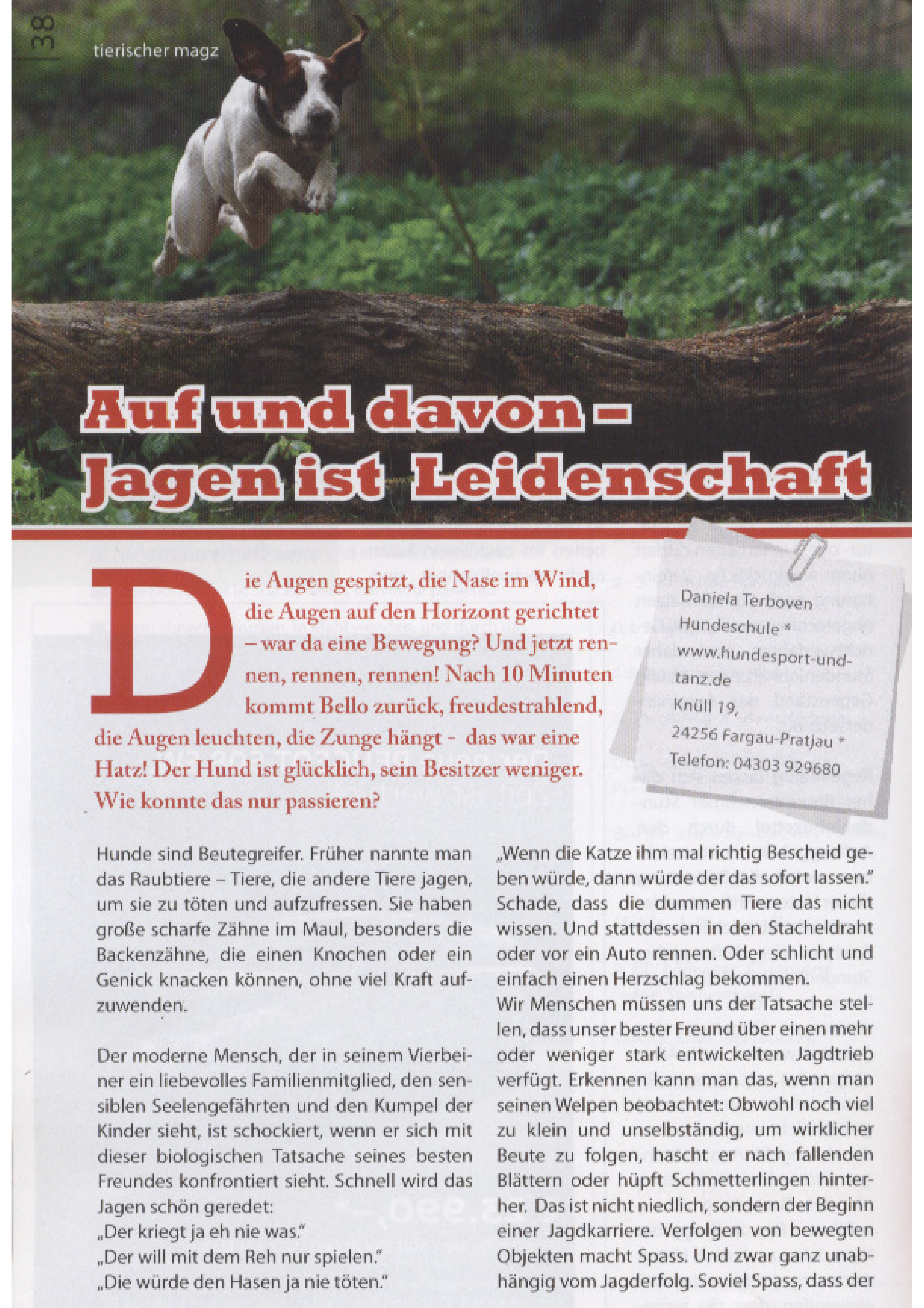 magz no. 03.2011