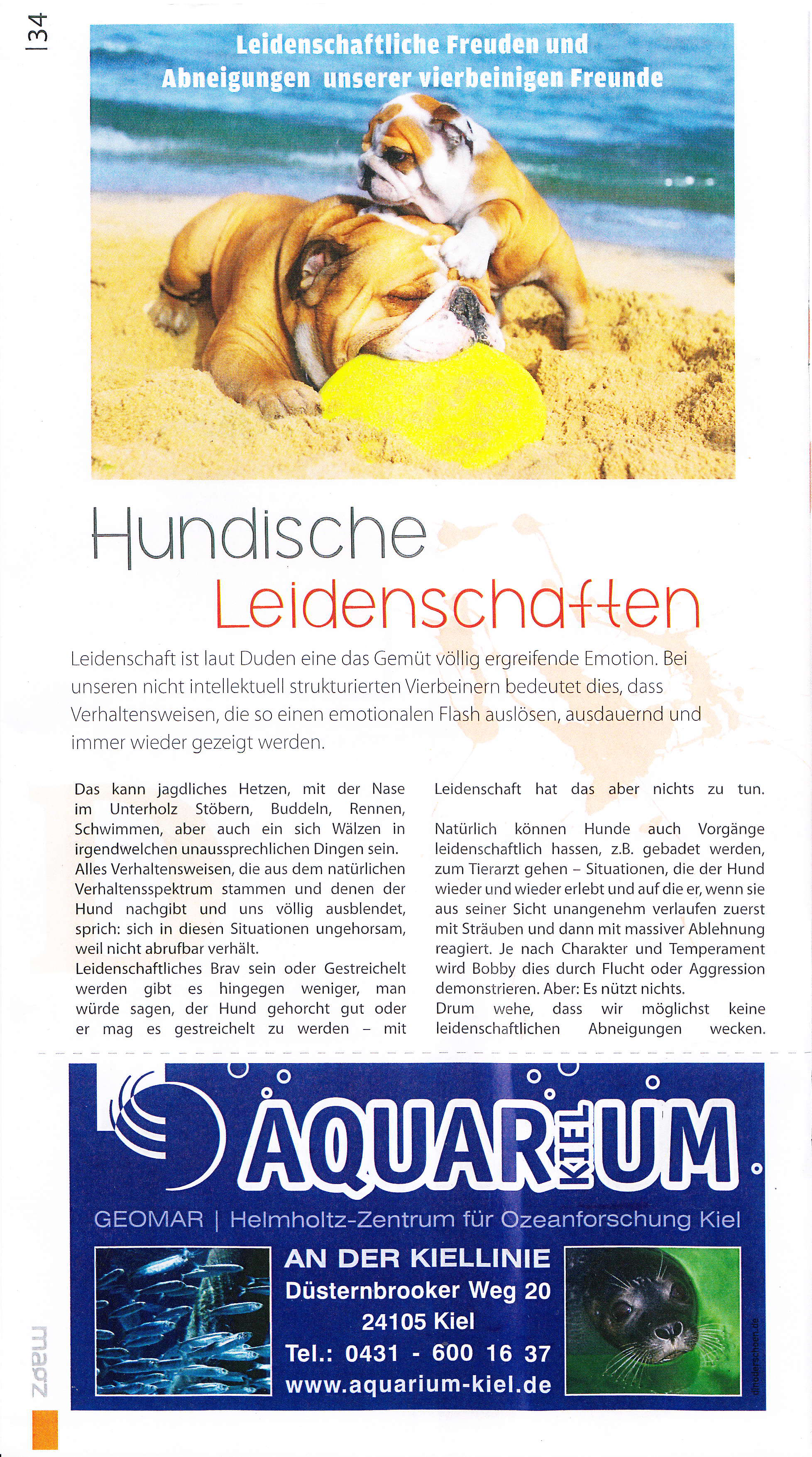 magz no. 03.2013